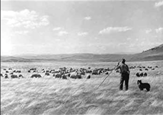 Screen Shot 2020-04-06 at 7.23.14 AM